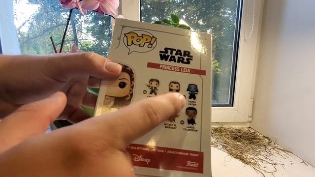 РАСПАКОВКА ПРИНЦЕССЫ ЛЕИ! Funko POP: Star Wars – Princess Leia Ewok Village смотреть онлайн