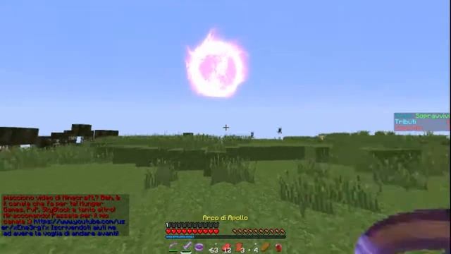 Minecraft - Hunger Game #14 - Un Apollo molto fast! смотреть онлайн