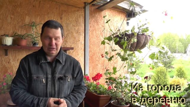 Ответы на эти вопросы облегчат Вам жизнь в деревне смотреть онлайн