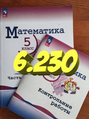 математика 5 класс номер 6.230
