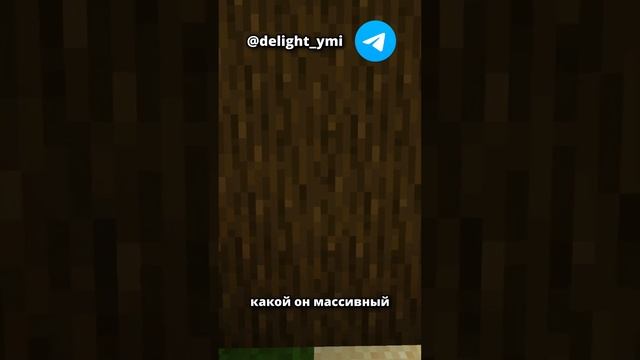 ТОП ДЕРЕВЬЕВ #shorts #майнкрафт #minecraft смотреть онлайн