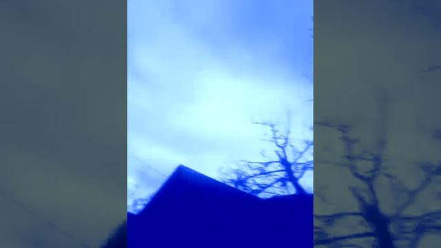 Мод на синьку смотреть онлайн