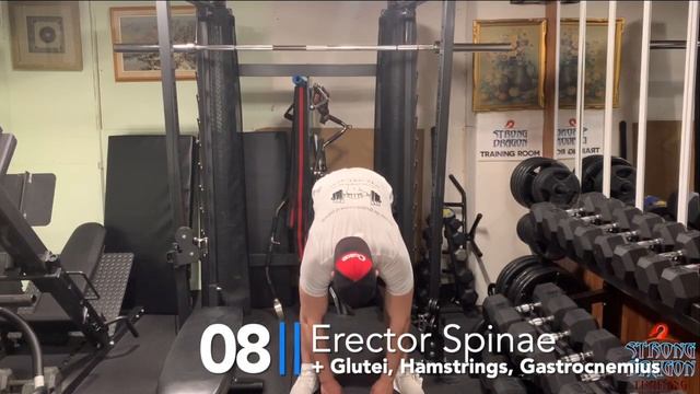 Dragon Zen -- Effective stretching for Legs and Abdominal Muscles Short version смотреть онлайн