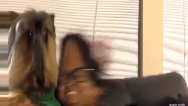 Teddy And MacBook Ft Me