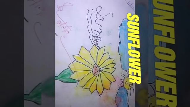 My sketch file смотреть онлайн