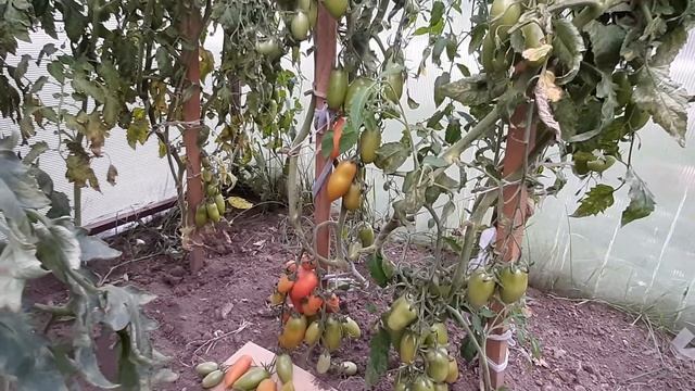 Стройка Секретов