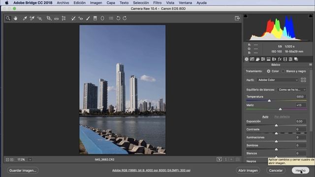 Photoshop. Camera Raw. Como abrir archivo e imágenes desde Adobe Bridge para Camera Raw. liclonny смотреть онлайн