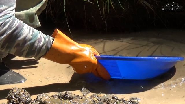 Золотой шурф.