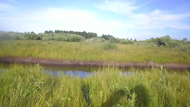 Ловля карася на мели в засуху +28 смотреть онлайн