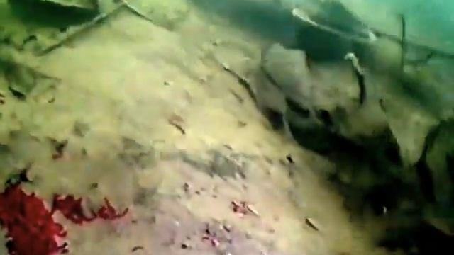 FishGadget - съемка ВДР 5 (видеокамера для рыбалки) смотреть онлайн