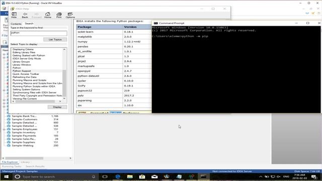 Using Python with CaseWare IDEA смотреть онлайн
