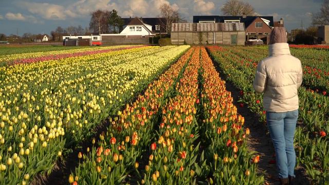 Разноцветный вечер. Colorful evening. смотреть онлайн