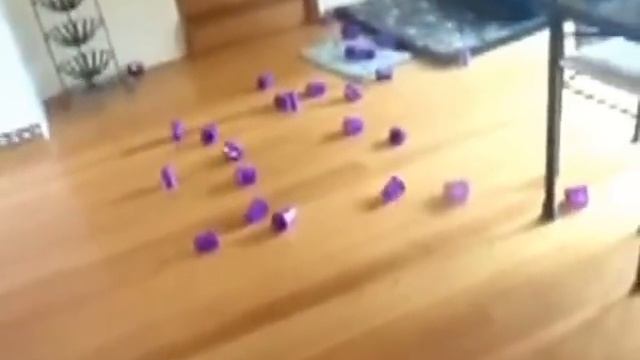 Как Играть Котом В Боулинг?