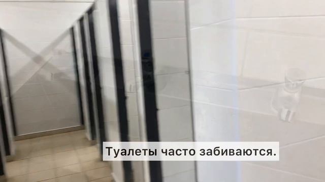 Уволилась, отработав всего 1 день! | Mansfield Farm | РАБОТА В АНГЛИИ