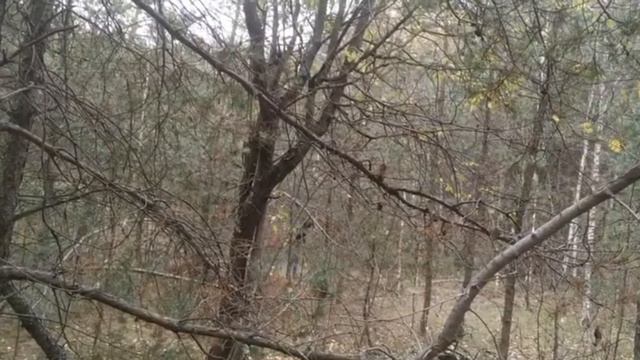 😱я так и не понял чё с этим пацаном может был по чемта🤔 смотреть онлайн