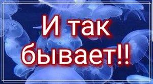 Оригинальный подвес на сумку.