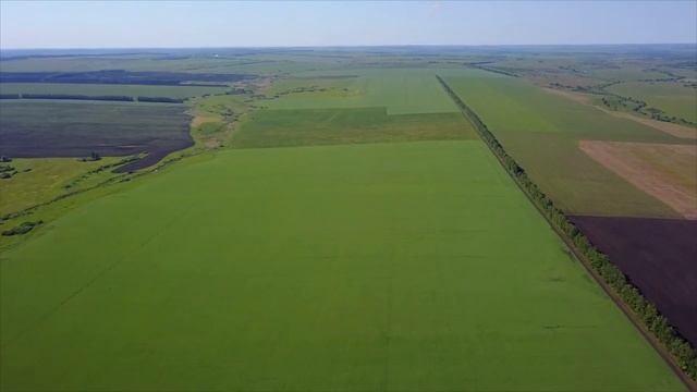 ВадАгро и Узольские ключи. Посевная 2019 смотреть онлайн
