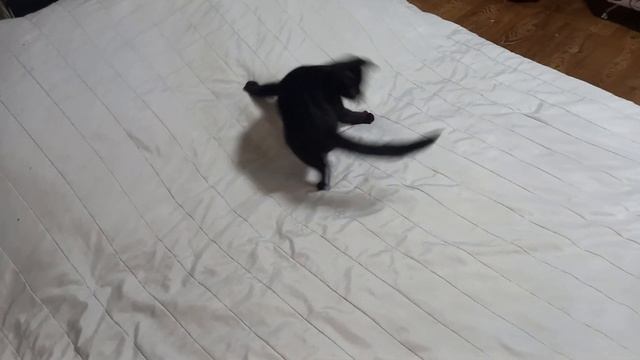 Разминка перед боем!?❤️? смотреть онлайн