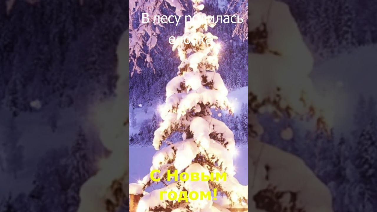 Новогоднее стихотворение. В лесу родилась елочка. смотреть онлайн