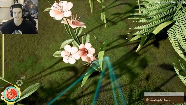 IT'S TAKING ME AWAY! - New Realistic Female Spider Life Cycle! - Drunk on Nectar Gameplay смотреть онлайн