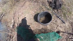 Ловлю раков весной. Много самок с икрой.