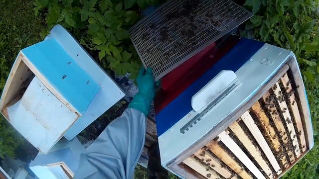 пчеловодство, постановка 3 корпуса дадан, расширение семьи смотреть онлайн
