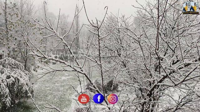 Kashmir Snowfall Today | Snowfall In Kashmir | Kashmir Today Snowfall | Heavy Snowfall In Kashmir |