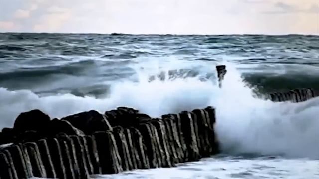 KoF - Здравствуй море