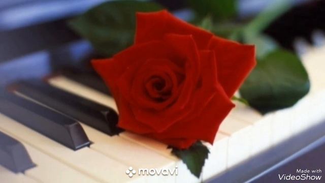 ...Душа болит... смотреть онлайн