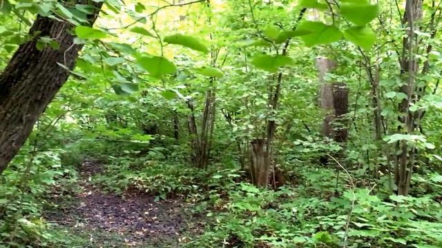 Два коротких копа. Мехзавод и Кондурча. смотреть онлайн