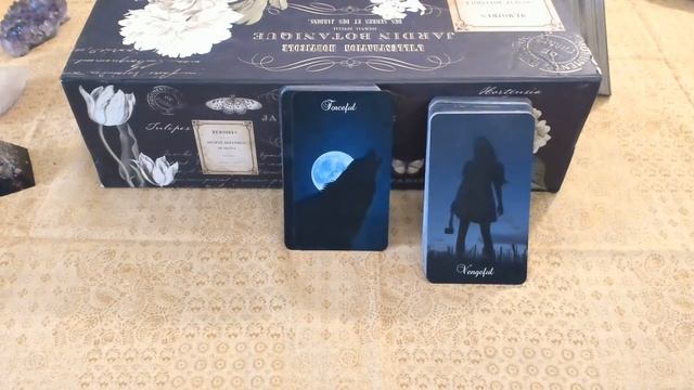 Twin Flame Shadows Oracle Show & Tell + Mini-Reading смотреть онлайн
