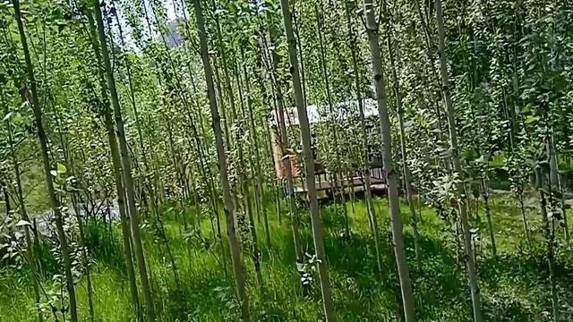 Где то в горах Средней Азии