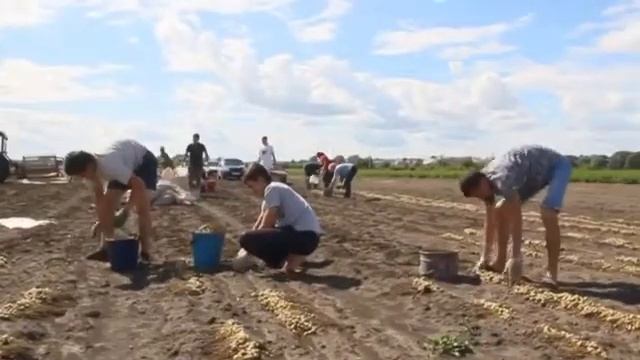 Батырево. смотреть онлайн