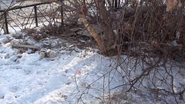 Уссурийский районный суд смотреть онлайн