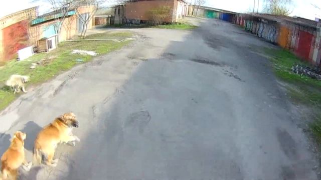 Enduro Novochek смотреть онлайн