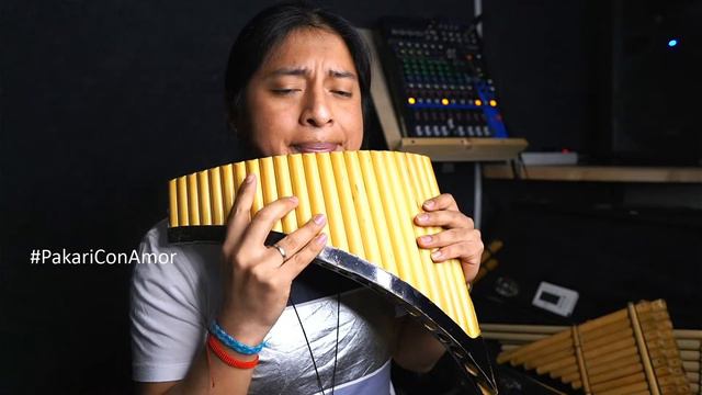 PAKARI- POSITIVE ENERGY WITH NATIVE MUSIC/ FLUTE MUSIC/ ANDEAN FLUTE