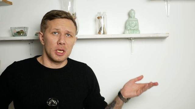 Сколько можно заработать за неделю на Пульсе от Маил