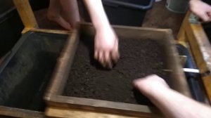 Простейшее вибросито для просеивания Дендробены.