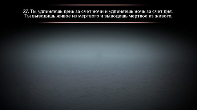 Аллах предостерегает вас от Самого Себя! смотреть онлайн