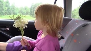 На машине с ребенком из Новосибирска в Анапу Витязево тур на автомобиле