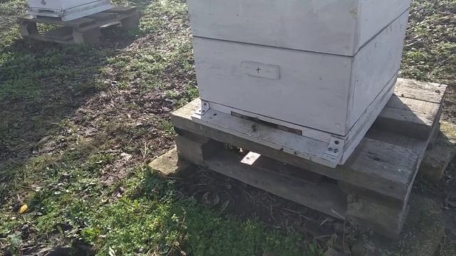 Едем отправлять посылки на почту.Пасека летает. смотреть онлайн