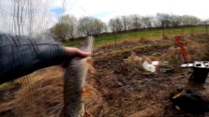 Обзор платного пруда "СТРЕЛЕЦКИЙ РУЧЕЙ"! РЫБАЛКА НА ЩУКУ!