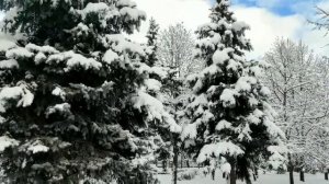 Пленница 1 - 8 серии | Мелодрама