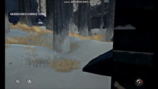 TLD: Archivist Challenge: Pt 7: Coastal Highway-Desolation Point смотреть онлайн
