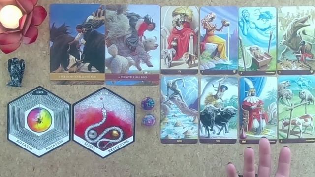 SOLSTICE TAROT READINGS??️?We Ask Spirit About Your Next 6 Months in Detail??️?Pick a Card смотреть онлайн