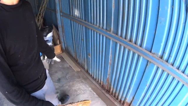 ГОТОВИМ ГАРАЖ К ПРОДАЖЕ | чем покрасить гараж смотреть онлайн