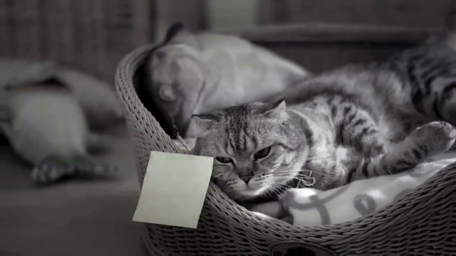 No more baths смотреть онлайн