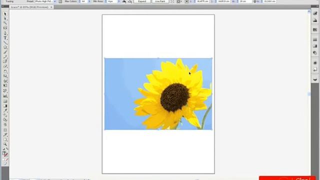 Adobe Illustrator CS4 1104: Bitmapleri Vektöre Çevirmek смотреть онлайн