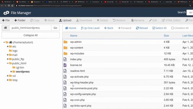 Installing WordPress in cPanel or any Other Web Hosting Panel the manual way смотреть онлайн