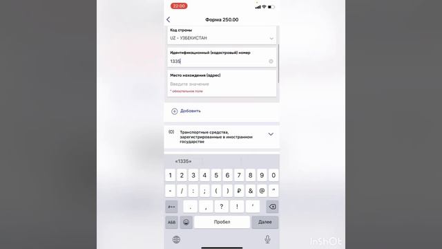 Декларация об активах и обязательствах физического лица 250 форма. смотреть онлайн